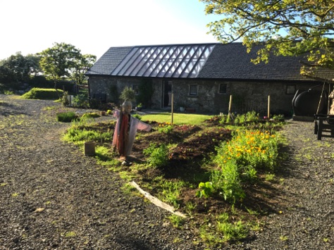 colm50-35.JPG
