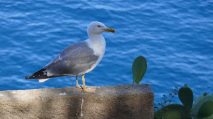 CostaBrava17-052.JPG