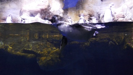CostaBrava17-130.JPG