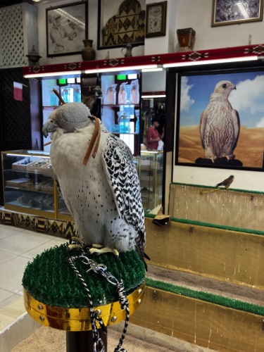 qatar-culture-20.jpg