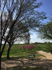 USAApr2017-441.JPG