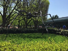 USAApr2017-451.JPG
