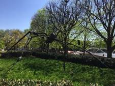 USAApr2017-456.JPG