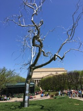 USAApr2017-463.JPG