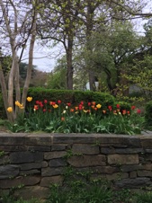 USAApr2017-542.JPG