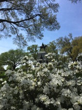USAApr2017-570.JPG