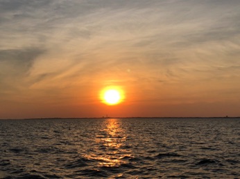 IMG_4655.JPG