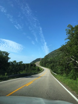 IMG_5515.JPG