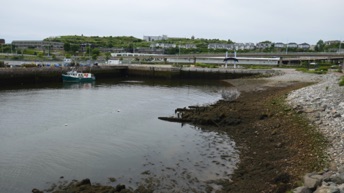 P1180341.JPG