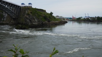 P1180351.JPG